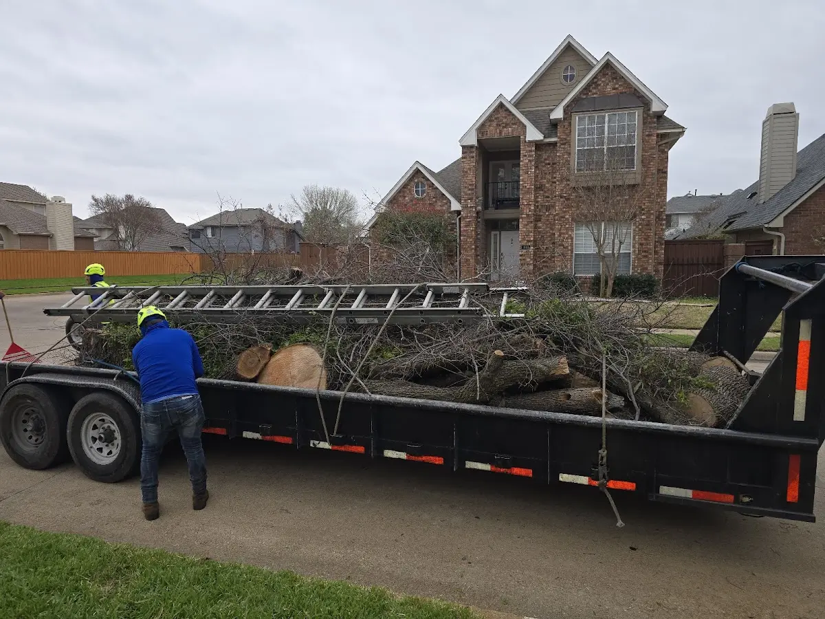 Expert Tree Fertilization with proper safety equipment in Verona